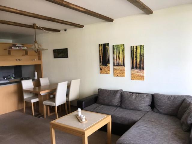 Panoramic Apartments Hohegeiss Luaran gambar