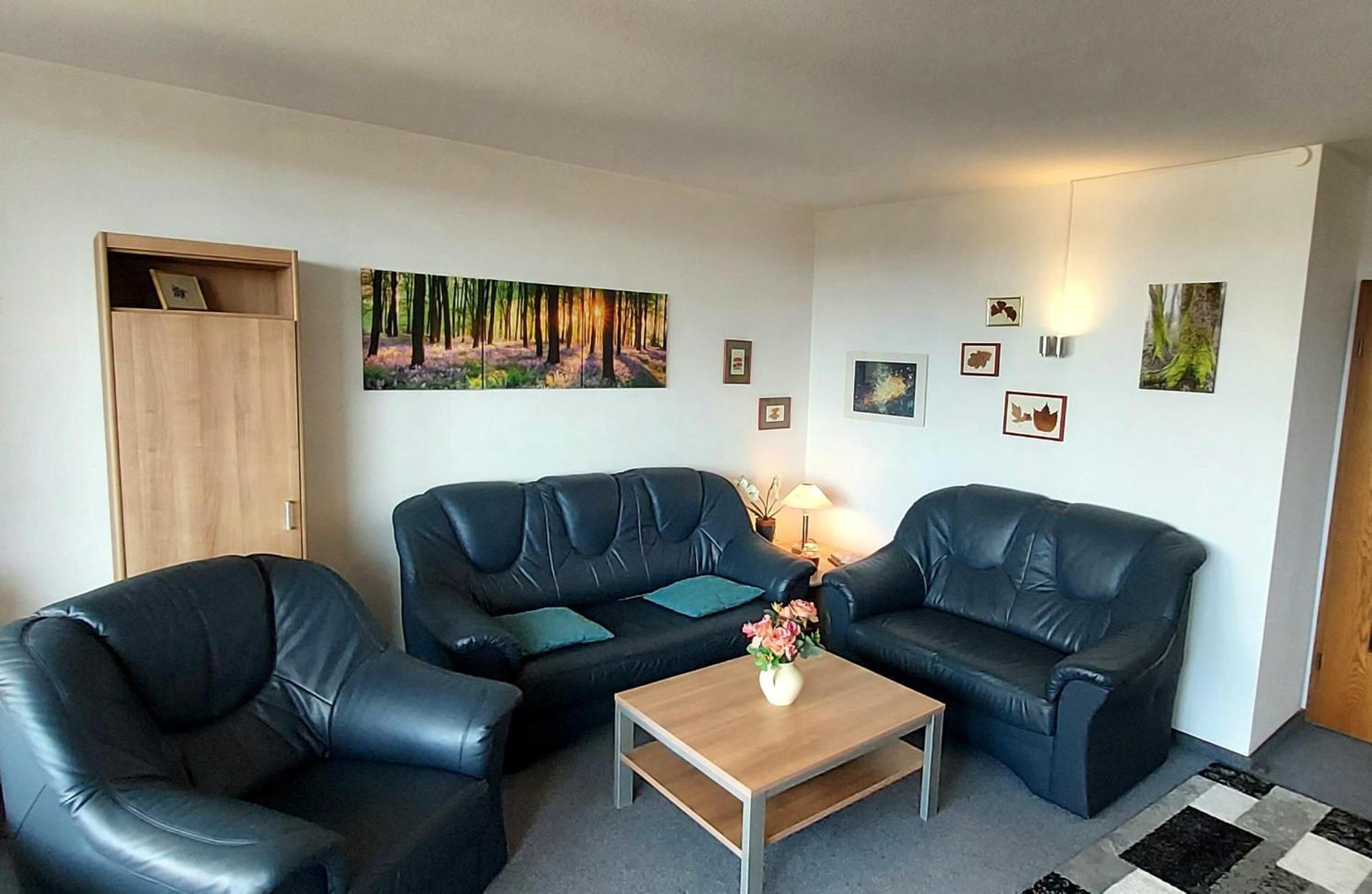 Panoramic Apartments Hohegeiss Bilik gambar