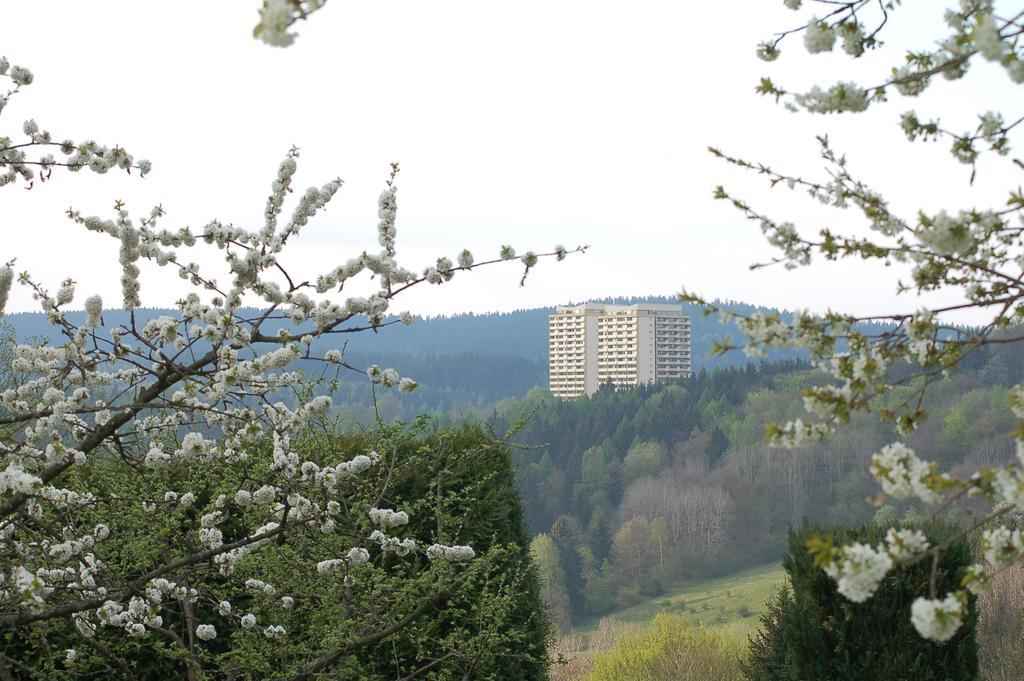 Panoramic Apartments Hohegeiss Luaran gambar