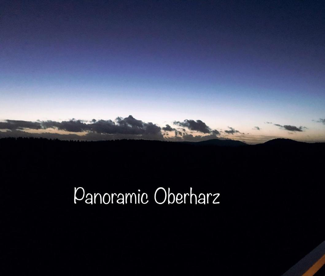 Panoramic Apartments Hohegeiss Luaran gambar